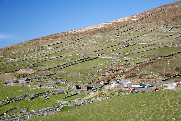 Slea Head fields