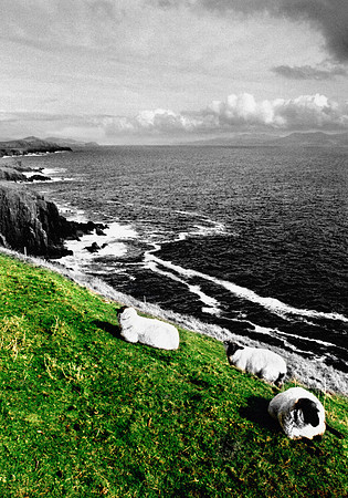 Blackheads, West Kerry