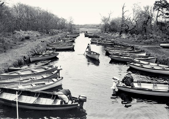 Boats Moored by Ross Castle, Killarney
