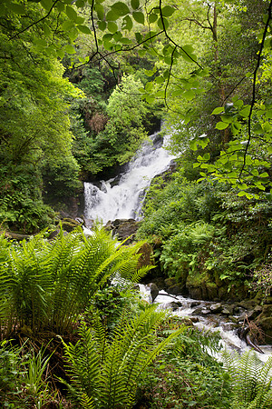 Luxuriant Torc Waterfall