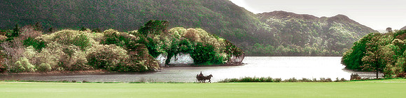 Muckross House Jarvey