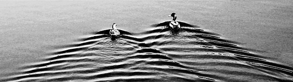 A Couple of Paddlers