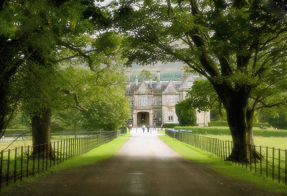 Muckross Lane