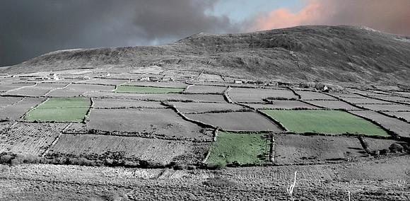 My Four Green Fields