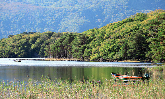 Boat by Lake Reeds
